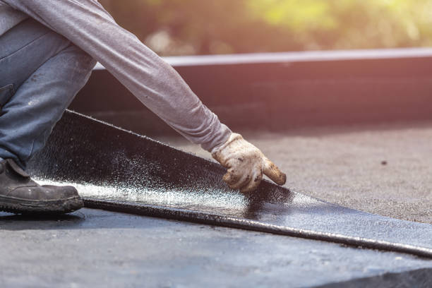 Professional Interior Drainage System technician working in Kathleen, FL